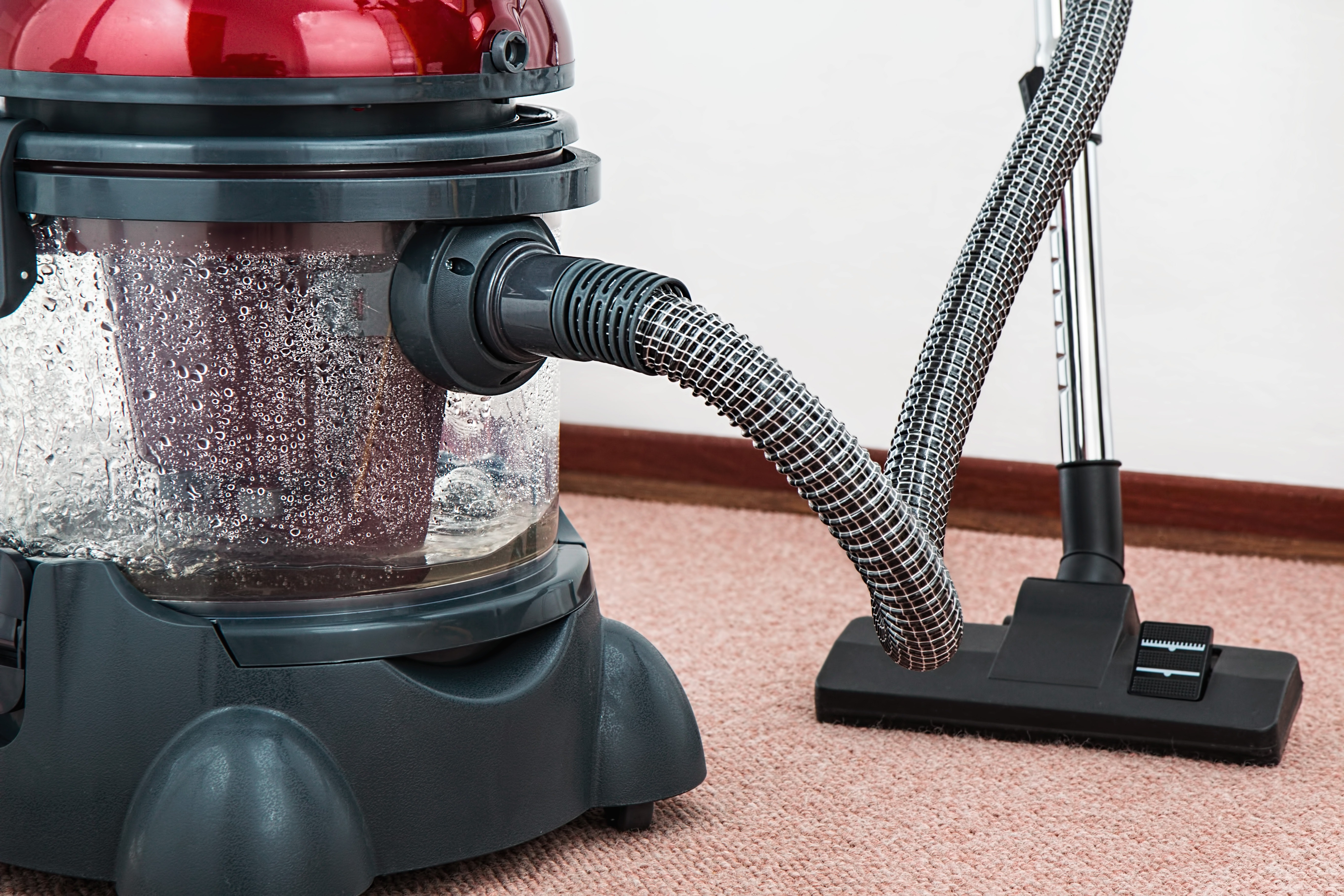 carpet cleaning